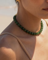 Olive Edition